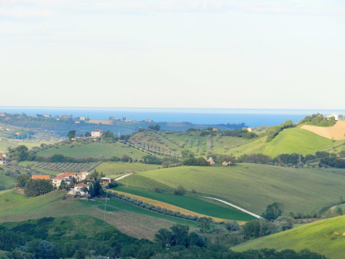 Bed and Breakfast Il Gruccione Sant'Omero Exteriér fotografie